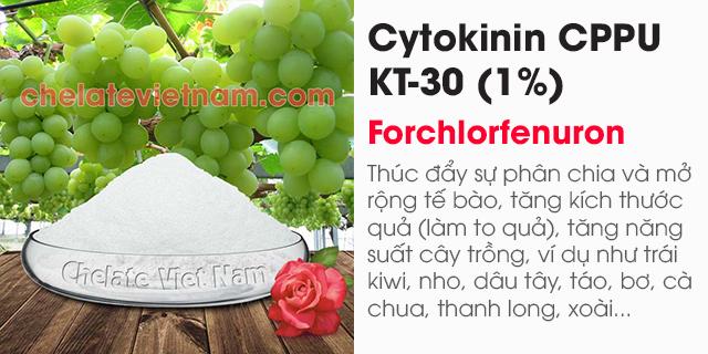Cytokinin CPPU KT-30 (Tăng kích thước trái cây) Forchlorfenuron